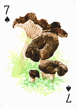 Spielkarte