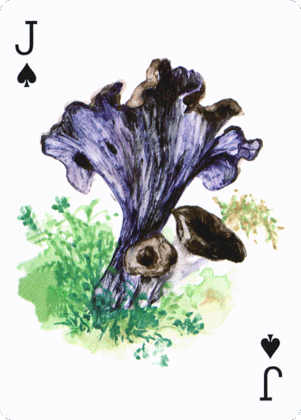 Spielkarte