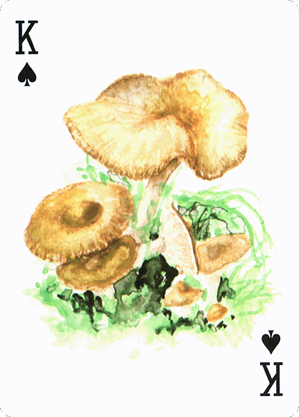 Spielkarte