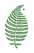 R&uuml;ckseite