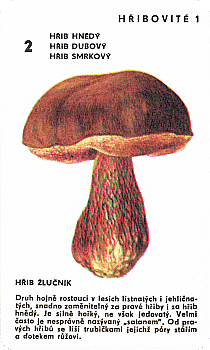 Spielkarte