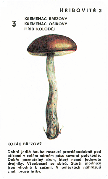 Spielkarte