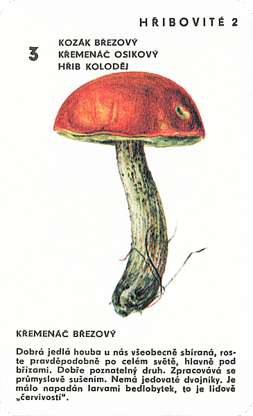 Spielkarte