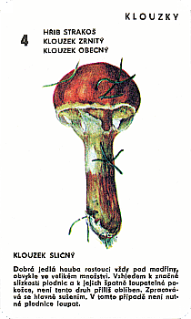Spielkarte