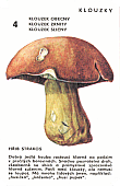 Spielkarte