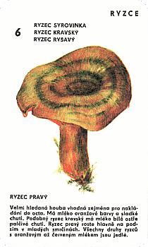 Spielkarte