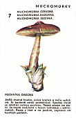 Spielkarte