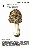 Spielkarte