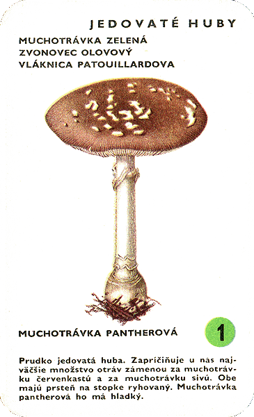 Spielkarte