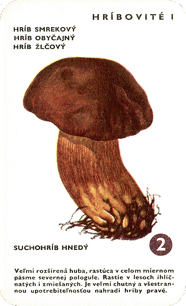 Spielkarte