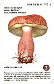 Spielkarte