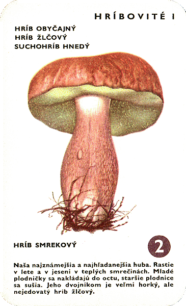 Spielkarte