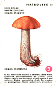 Spielkarte