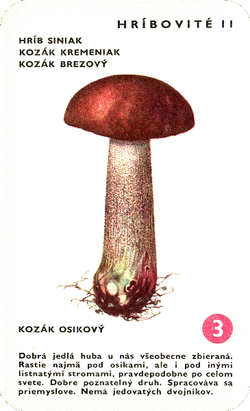 Spielkarte