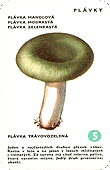 Spielkarte