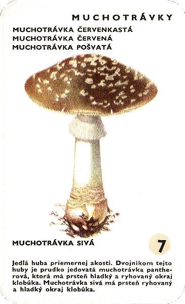 Spielkarte