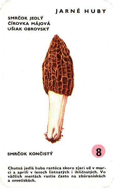 Spielkarte