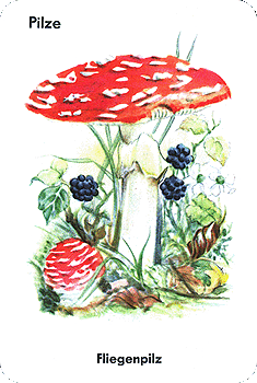 Spielkarte