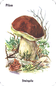 Spielkarte
