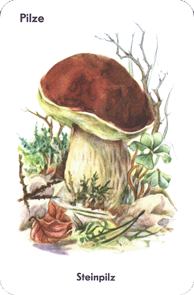 Spielkarte