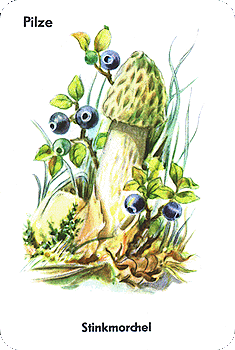 Spielkarte