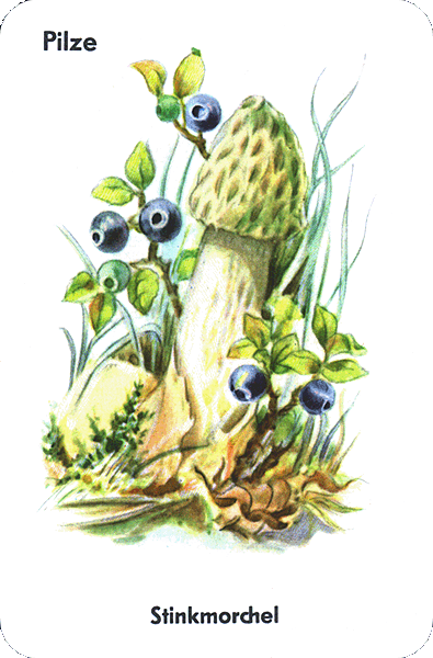 Spielkarte