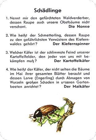 Quiz