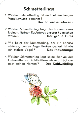 Quiz