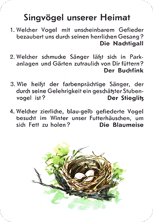 Quiz