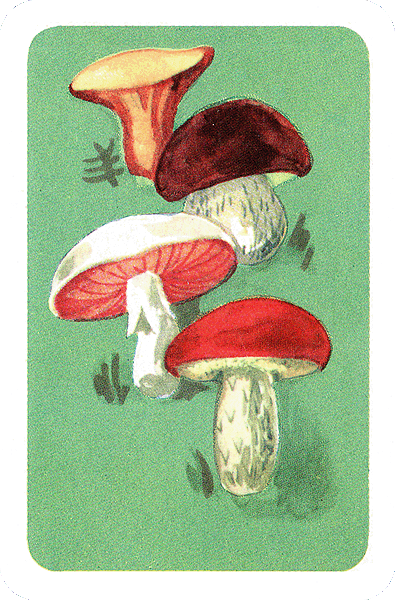 Spielkarte