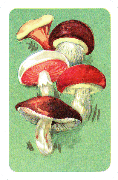 Spielkarte