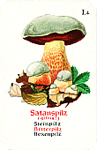 Spielkarte