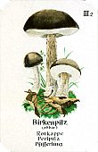 Spielkarte
