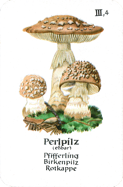Spielkarte