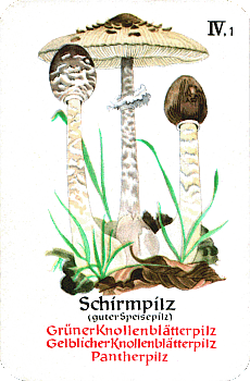 Spielkarte
