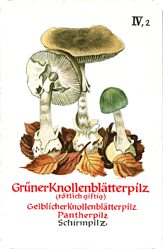 Spielkarte