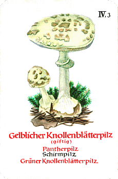 Spielkarte