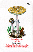 Spielkarte
