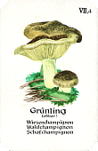 Spielkarte