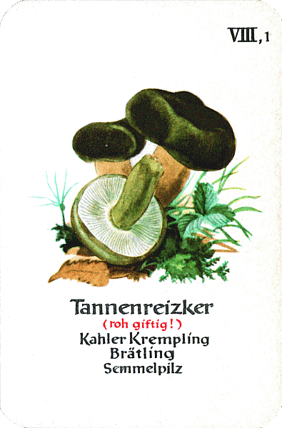 Spielkarte