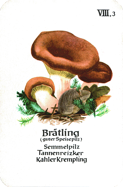 Spielkarte