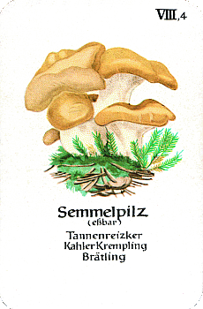 Spielkarte