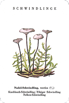 Spielkarte