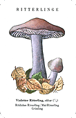 Spielkarte