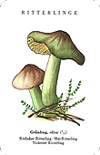 Spielkarte