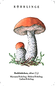 Spielkarte