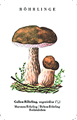 Spielkarte