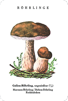 Spielkarte