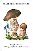 Spielkarte