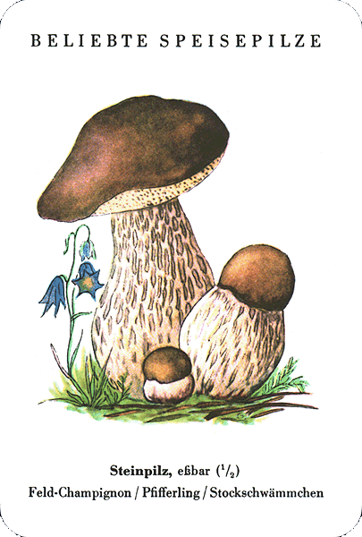 Spielkarte